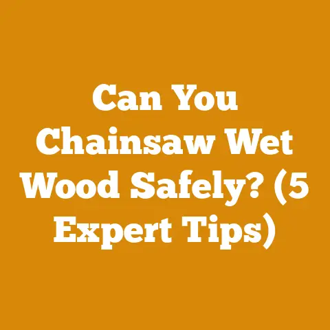 Can You Chainsaw Wet Wood Safely? (5 Expert Tips)