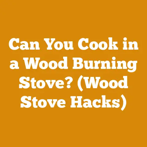 Can You Cook in a Wood Burning Stove? (Wood Stove Hacks)