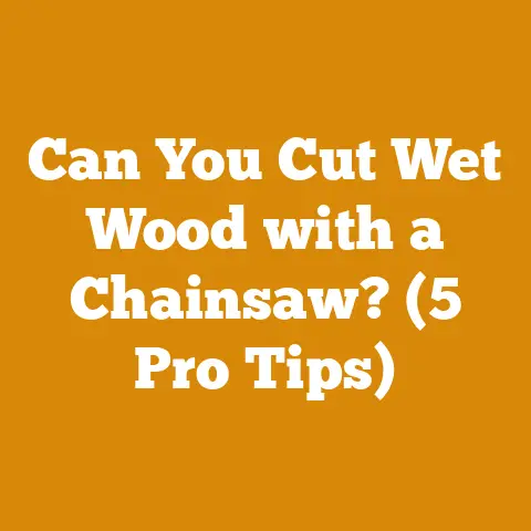 Can You Cut Wet Wood with a Chainsaw? (5 Pro Tips)