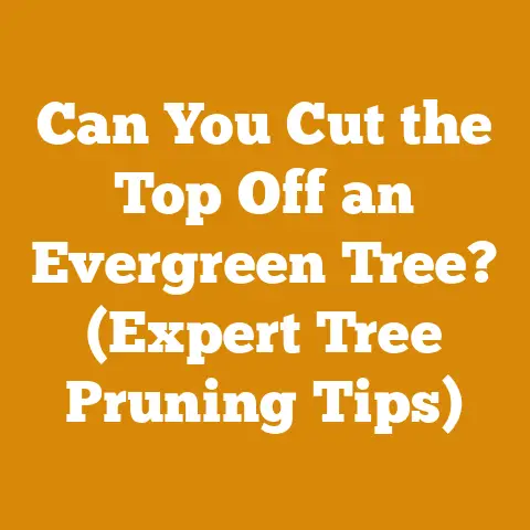 Can You Cut the Top Off an Evergreen Tree? (Expert Tree Pruning Tips)