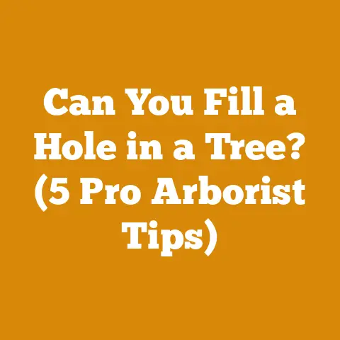 Can You Fill a Hole in a Tree? (5 Pro Arborist Tips)