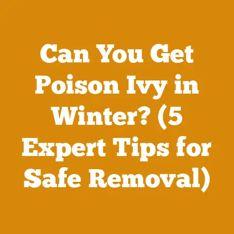 Can You Get Poison Ivy in Winter? (5 Expert Tips for Safe Removal)