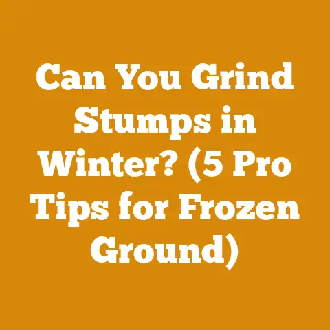 Can You Grind Stumps in Winter? (5 Pro Tips for Frozen Ground)