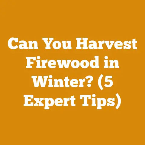 Can You Harvest Firewood in Winter? (5 Expert Tips)
