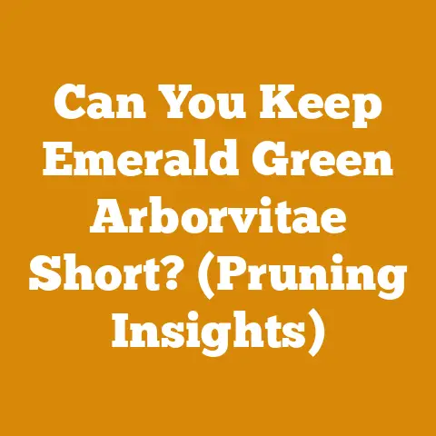 Can You Keep Emerald Green Arborvitae Short? (Pruning Insights)