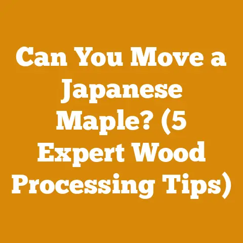 Can You Move a Japanese Maple? (5 Expert Wood Processing Tips)