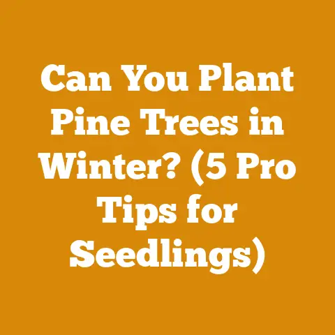 Can You Plant Pine Trees in Winter? (5 Pro Tips for Seedlings)