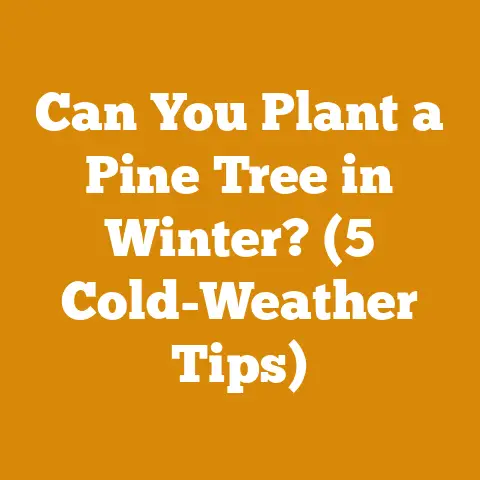 Can You Plant a Pine Tree in Winter? (5 Cold-Weather Tips)
