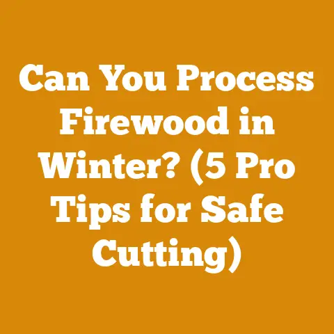 Can You Process Firewood in Winter? (5 Pro Tips for Safe Cutting)