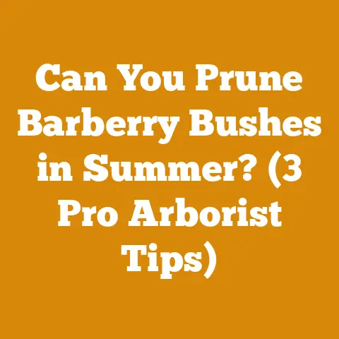 Can You Prune Barberry Bushes in Summer? (3 Pro Arborist Tips)