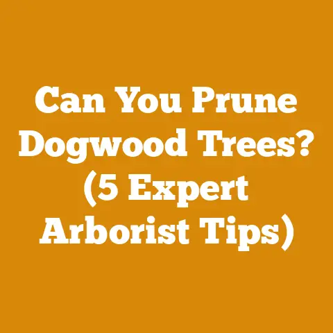 Can You Prune Dogwood Trees? (5 Expert Arborist Tips)