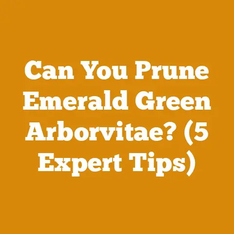 Can You Prune Emerald Green Arborvitae? (5 Expert Tips)