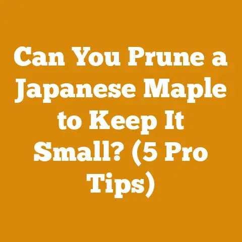Can You Prune a Japanese Maple to Keep It Small? (5 Pro Tips)