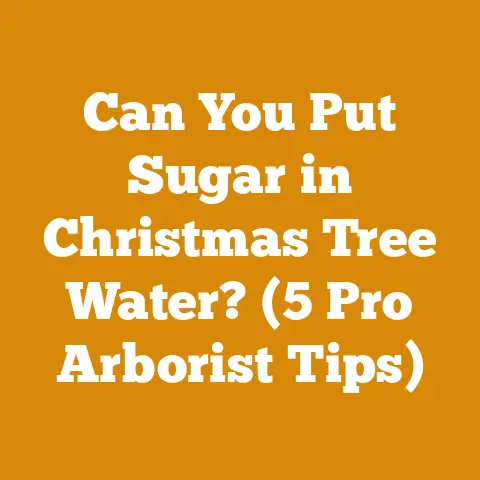 Can You Put Sugar in Christmas Tree Water? (5 Pro Arborist Tips)