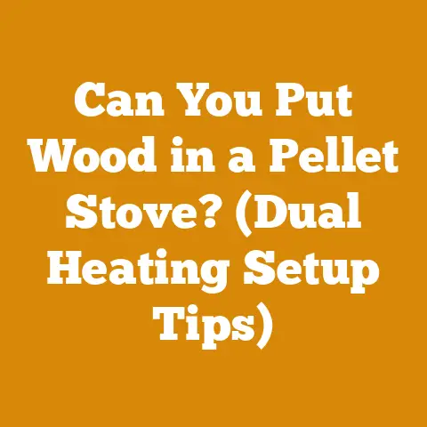 Can You Put Wood in a Pellet Stove? (Dual Heating Setup Tips)
