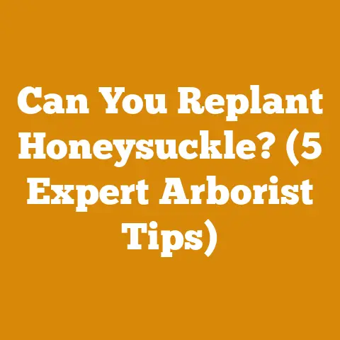Can You Replant Honeysuckle? (5 Expert Arborist Tips)