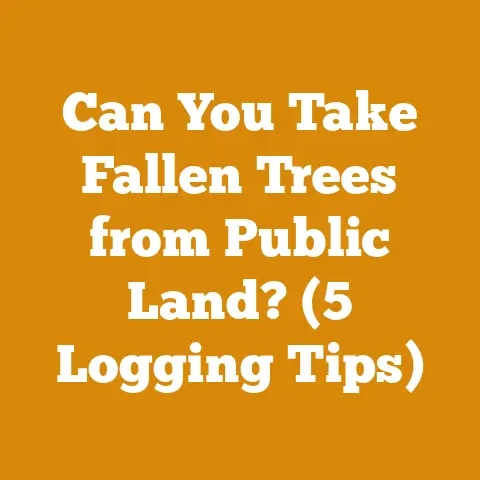 Can You Take Fallen Trees from Public Land? (5 Logging Tips)