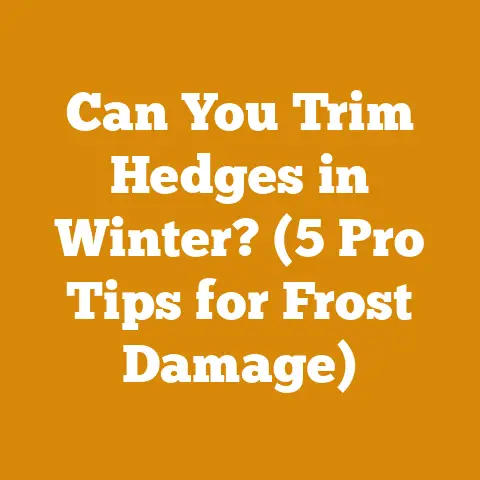 Can You Trim Hedges in Winter? (5 Pro Tips for Frost Damage)