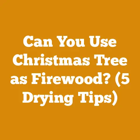 Can You Use Christmas Tree as Firewood? (5 Drying Tips)