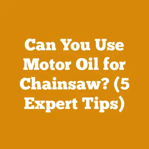 Can You Use Motor Oil for Chainsaw? (5 Expert Tips)