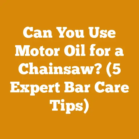 Can You Use Motor Oil for a Chainsaw? (5 Expert Bar Care Tips)