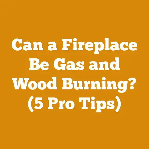 Can a Fireplace Be Gas and Wood Burning? (5 Pro Tips)