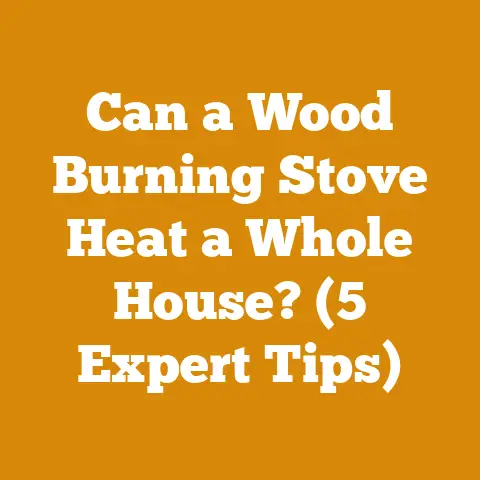 Can a Wood Burning Stove Heat a Whole House? (5 Expert Tips)