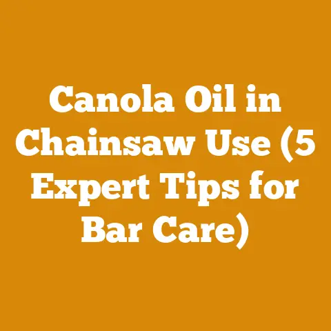 Canola Oil in Chainsaw Use (5 Expert Tips for Bar Care)