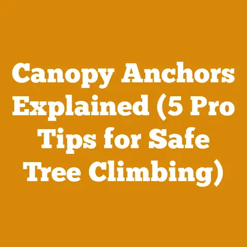 Canopy Anchors Explained (5 Pro Tips for Safe Tree Climbing)