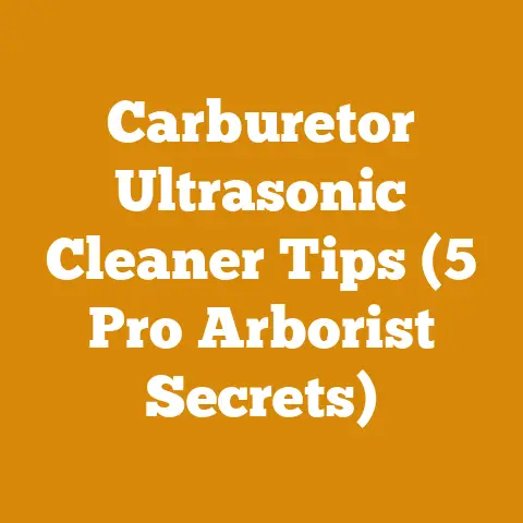 Carburetor Ultrasonic Cleaner Tips (5 Pro Arborist Secrets)