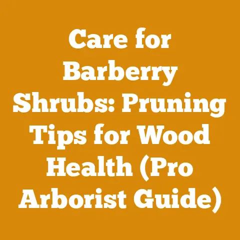 Care for Barberry Shrubs: Pruning Tips for Wood Health (Pro Arborist Guide)