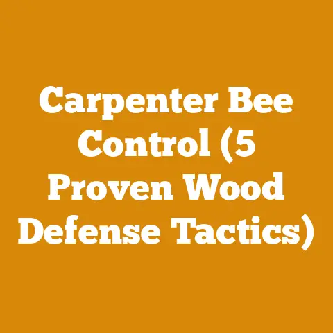 Carpenter Bee Control (5 Proven Wood Defense Tactics)