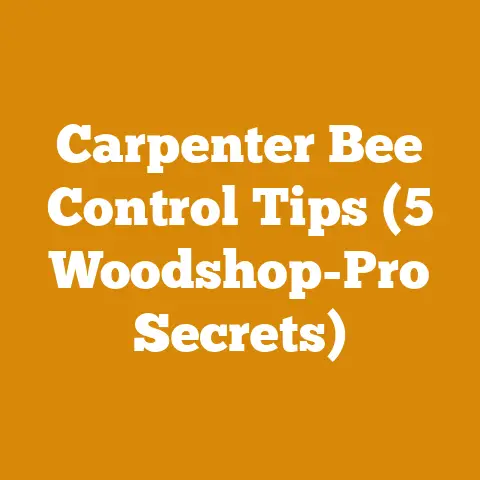 Carpenter Bee Control Tips (5 Woodshop-Pro Secrets)
