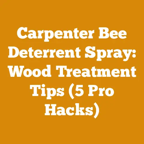 Carpenter Bee Deterrent Spray: Wood Treatment Tips (5 Pro Hacks)