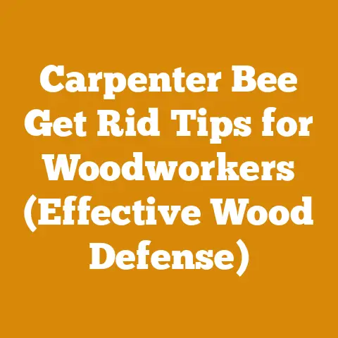 Carpenter Bee Get Rid Tips for Woodworkers (Effective Wood Defense)