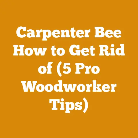 Carpenter Bee How to Get Rid of (5 Pro Woodworker Tips)