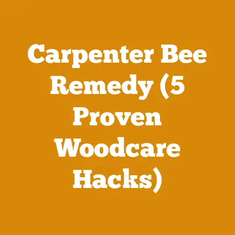 Carpenter Bee Remedy (5 Proven Woodcare Hacks)