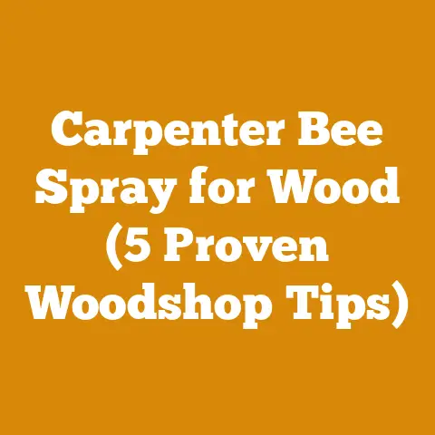Carpenter Bee Spray for Wood (5 Proven Woodshop Tips)