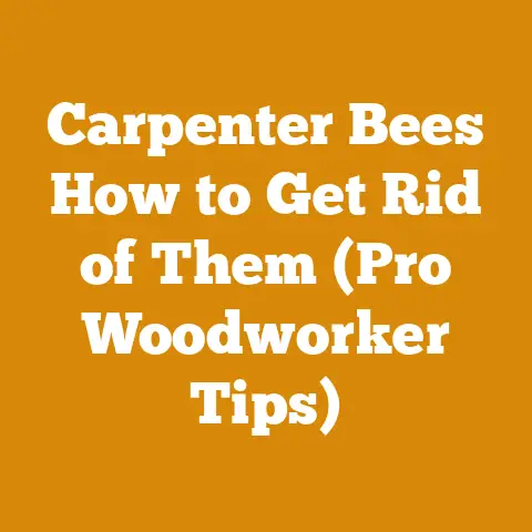 Carpenter Bees How to Get Rid of Them (Pro Woodworker Tips)