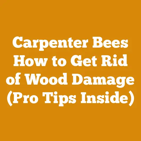 Carpenter Bees How to Get Rid of Wood Damage (Pro Tips Inside)