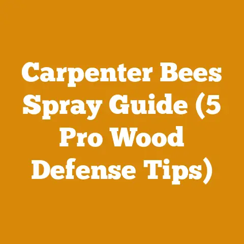 Carpenter Bees Spray Guide (5 Pro Wood Defense Tips)
