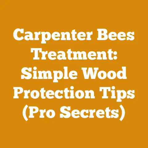 Carpenter Bees Treatment: Simple Wood Protection Tips (Pro Secrets)
