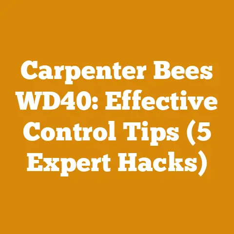 Carpenter Bees WD40: Effective Control Tips (5 Expert Hacks)
