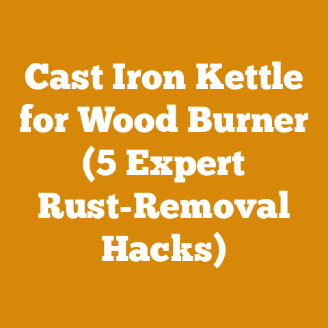Cast Iron Kettle for Wood Burner (5 Expert Rust-Removal Hacks)