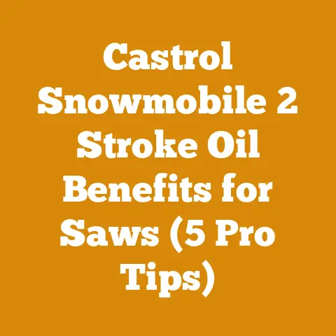 Castrol Snowmobile 2 Stroke Oil Benefits for Saws (5 Pro Tips)