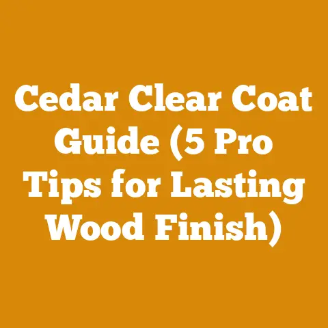 Cedar Clear Coat Guide (5 Pro Tips for Lasting Wood Finish)