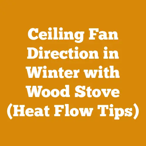 Ceiling Fan Direction in Winter with Wood Stove (Heat Flow Tips)