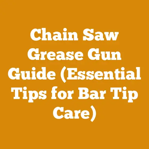 Chain Saw Grease Gun Guide (Essential Tips for Bar Tip Care)