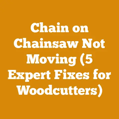 Chain on Chainsaw Not Moving (5 Expert Fixes for Woodcutters)