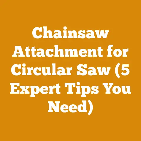 Chainsaw Attachment for Circular Saw (5 Expert Tips You Need)